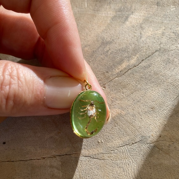 Real Ant Scorpion Beetle Spider Pendant Necklace Taxidermy insect necklace chain - Picture 4 of 11